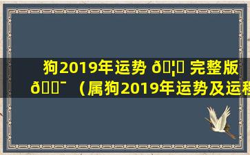 狗2019年运势 🦉 完整版 🐯 （属狗2019年运势及运程每月运程狗）